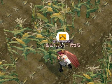 mabinogi_2010_02_19_00.jpg