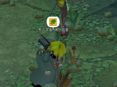 mabinogi_2010_03_06_01.jpg