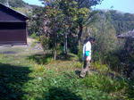 niwanitatu