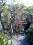 niwa