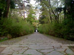 yuriafe