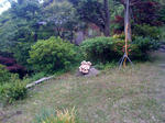 kimatta
