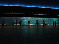 0713-4.jpg