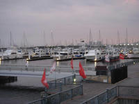 6138e706.jpg