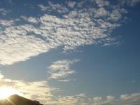 4a088a00.jpg