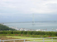 6f3a8a54.jpg