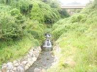 3399f727.jpg