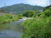 2862507e.jpg