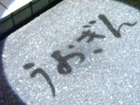 6cb4ef15.jpg