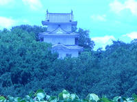 71ca75b3.jpg