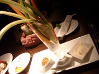 DSCN2550.JPG