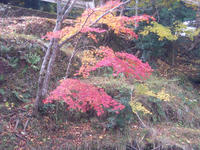 DSCN2596.JPG