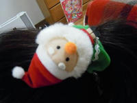 DSCN1345.JPG