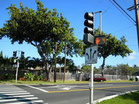 DSCN1593.JPG