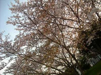 DSCN2700.JPG