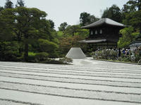 DSCN2335.JPG