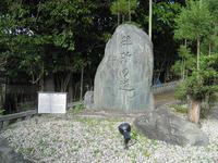 DSCN2450.JPG