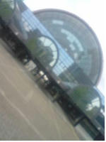 0802-2.JPG