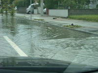 DSCN2943.JPG