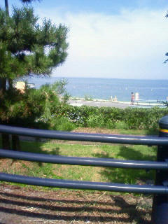 NEC_0141.jpg