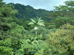 DSCF0022.JPG