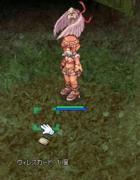 screeniris002.jpg
