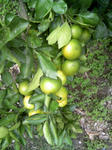 081004_104358.JPG