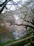 090404_103937.JPG