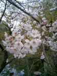 090404_113624.JPG