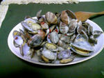 090509_202237.JPG