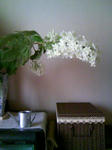 090617_093156.JPG