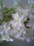 090617_093405.JPG