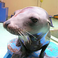 0519img_photo_nakama_01.jpg