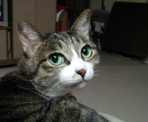 0606bell.jpg