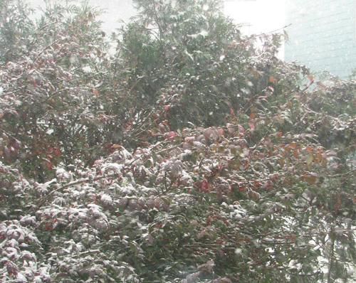 091102.jpg