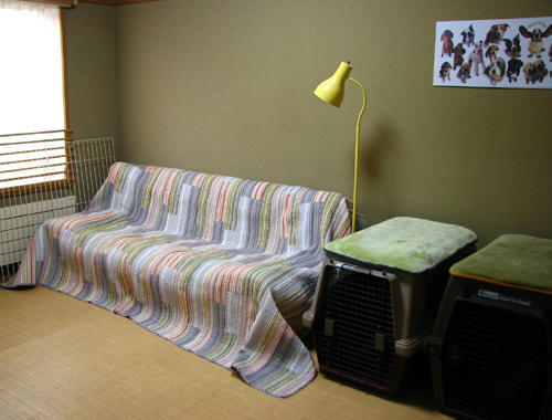 97f48165.jpg