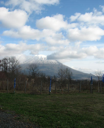 208313cd.jpg