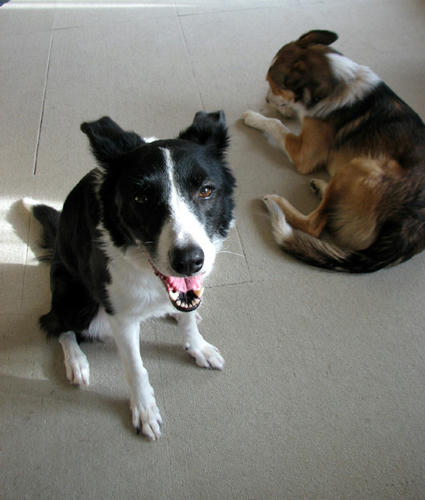 20111006.jpg