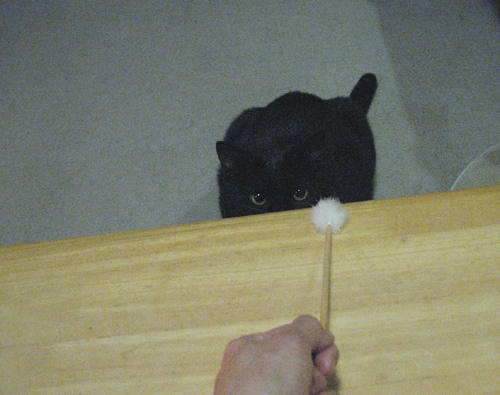 20110112.jpg