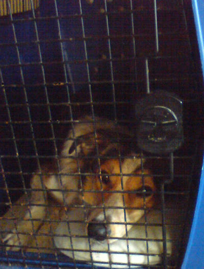 20110118.jpg