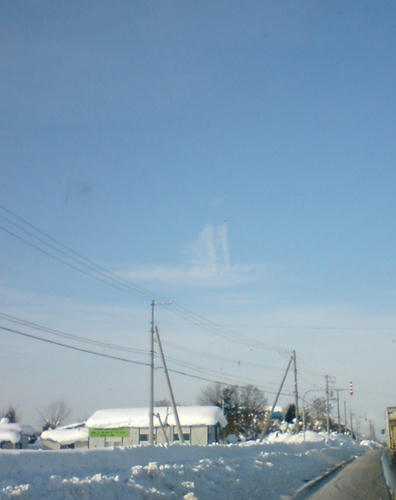 20110120.jpg