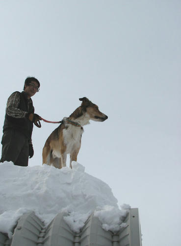 20110125.jpg