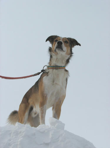 20110125no2.jpg
