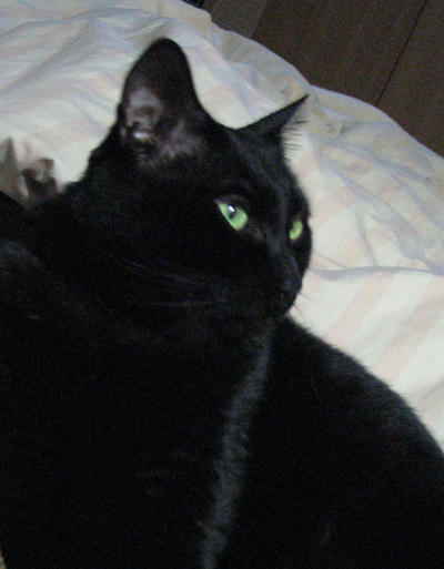 20110201.jpg