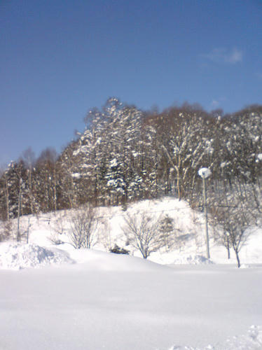 875d6a0a.jpg