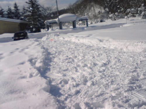 20110202.jpg