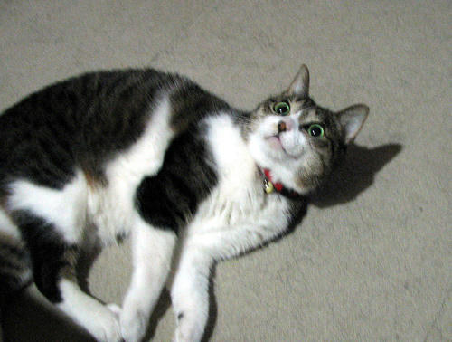 20110203.jpg