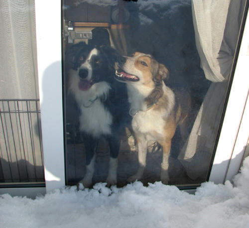 20110204.jpg