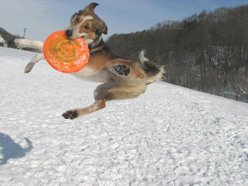 20110210.jpg
