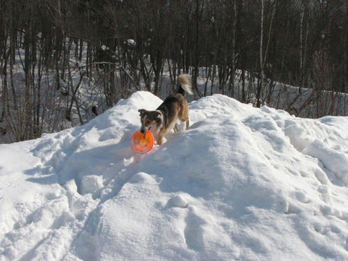 20110217.jpg
